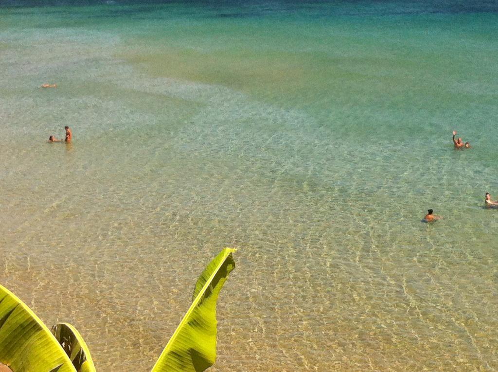 Terra Di Sicilia Avola Quarto foto